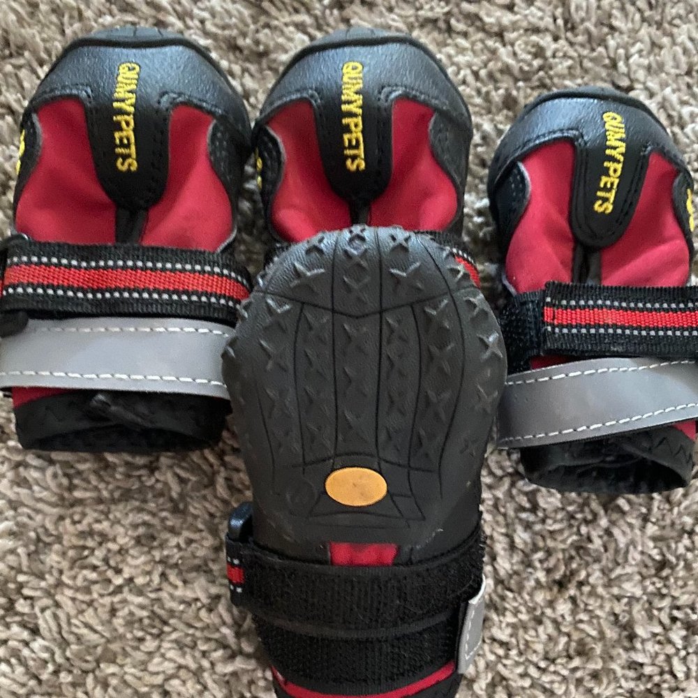 Dog Shoes